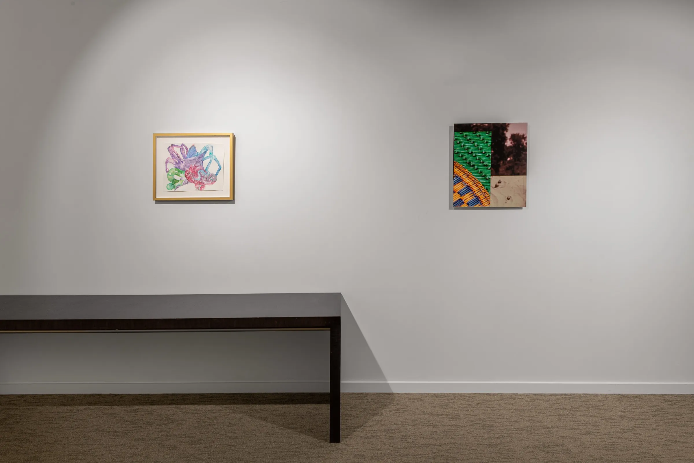 States in Flux installation view