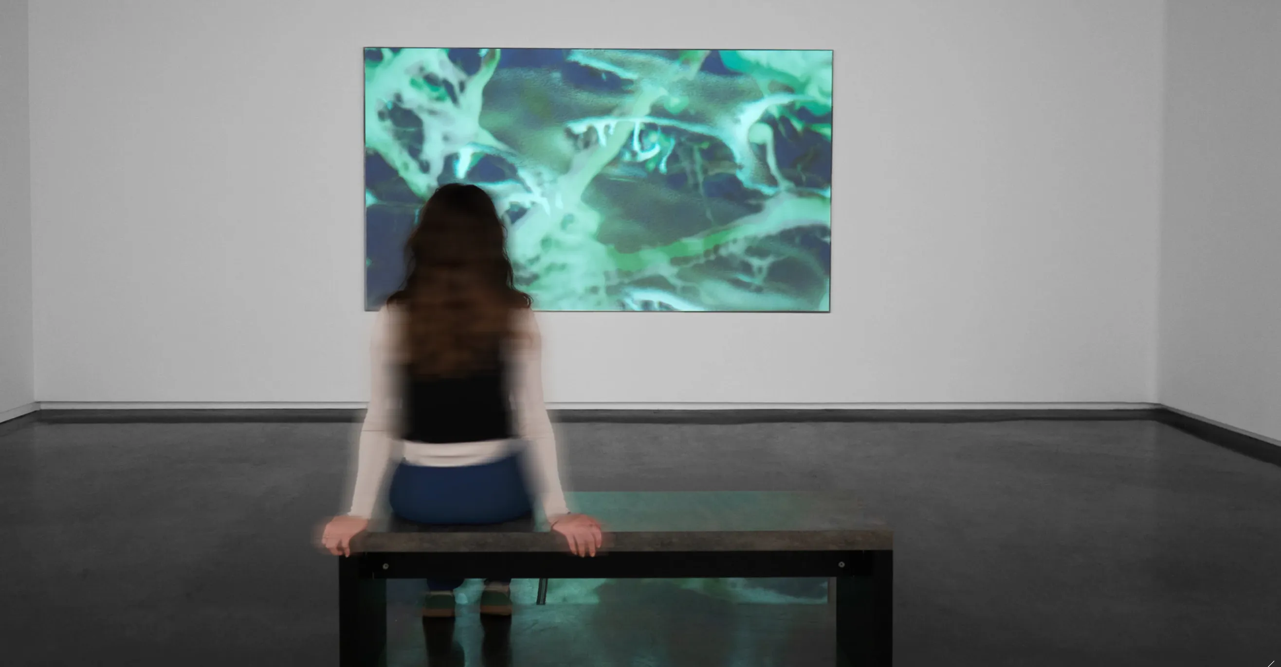 Wet and Saturated Process installation view