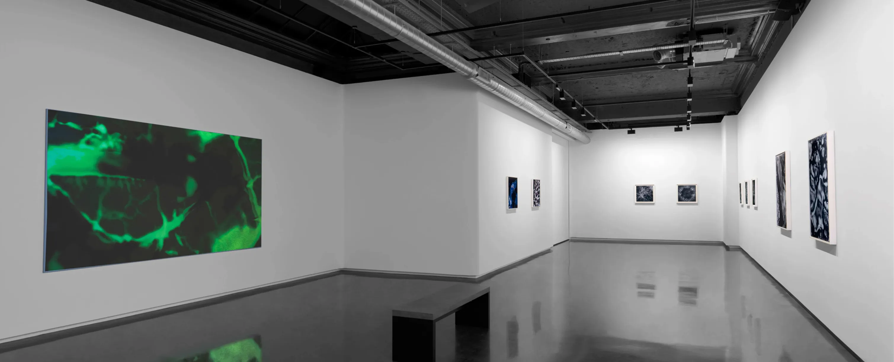 Wet and Saturated Process installation view